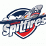 Wsr Spitfires