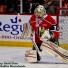 Fucale Fucale