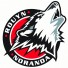Rouyn-Noranda Huskies