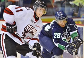 Photo by Terry Wilson / OHL Images.