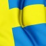 sweden_waving_flag_512