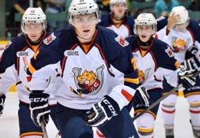 Photo by Terry Wilson / OHL Images.