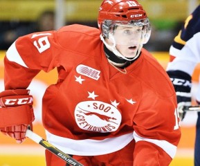 Photo by Terry Wilson / OHL