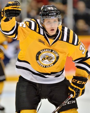 Terry Wilson (OHL Images)