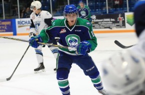 Photo by Darwin Knelsen, courtesy of the  WHL.