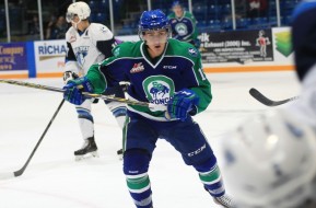 Photo by Darwin Knelsen, courtesy of the WHL.