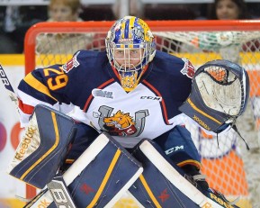 Photo by Terry Wilson/OHL Images.