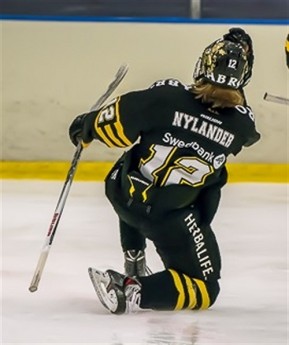 Alexander Nylander, brother of Leafs prospect William Nylander, is eligible for the Import Draft but is a long shot to play in the CHL.