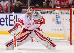 NHL: JAN 27 Red Wings at Panthers