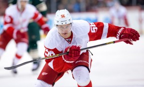 NHL: APR 04 Red Wings at Wild