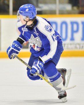 Michael Pezzetta of the Sudbury Wolves. Photo by Terry Wilson / OHL Images.