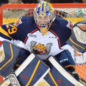 Mackenzie Blackwood of the Barrie Colts. Photo by Terry Wilson/OHL Images.