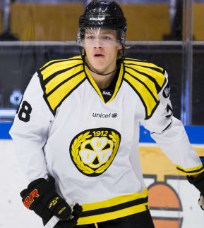 161029 Brynäs Jesper Boqvist under ishockeymatchen i SHL mellan HV71 och Leksand den 29 oktober 2016 i Jönköping.  Foto: Stefan Persson / BILDBYRÅN / Cop 107