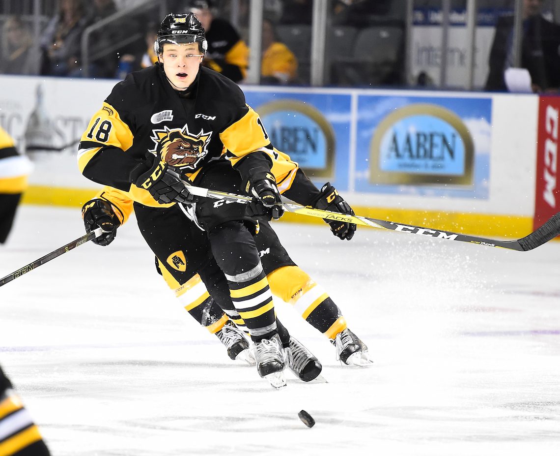Matthew Strome of the Hamilton Bulldogs. Photo by Aaron Bell/OHL Images