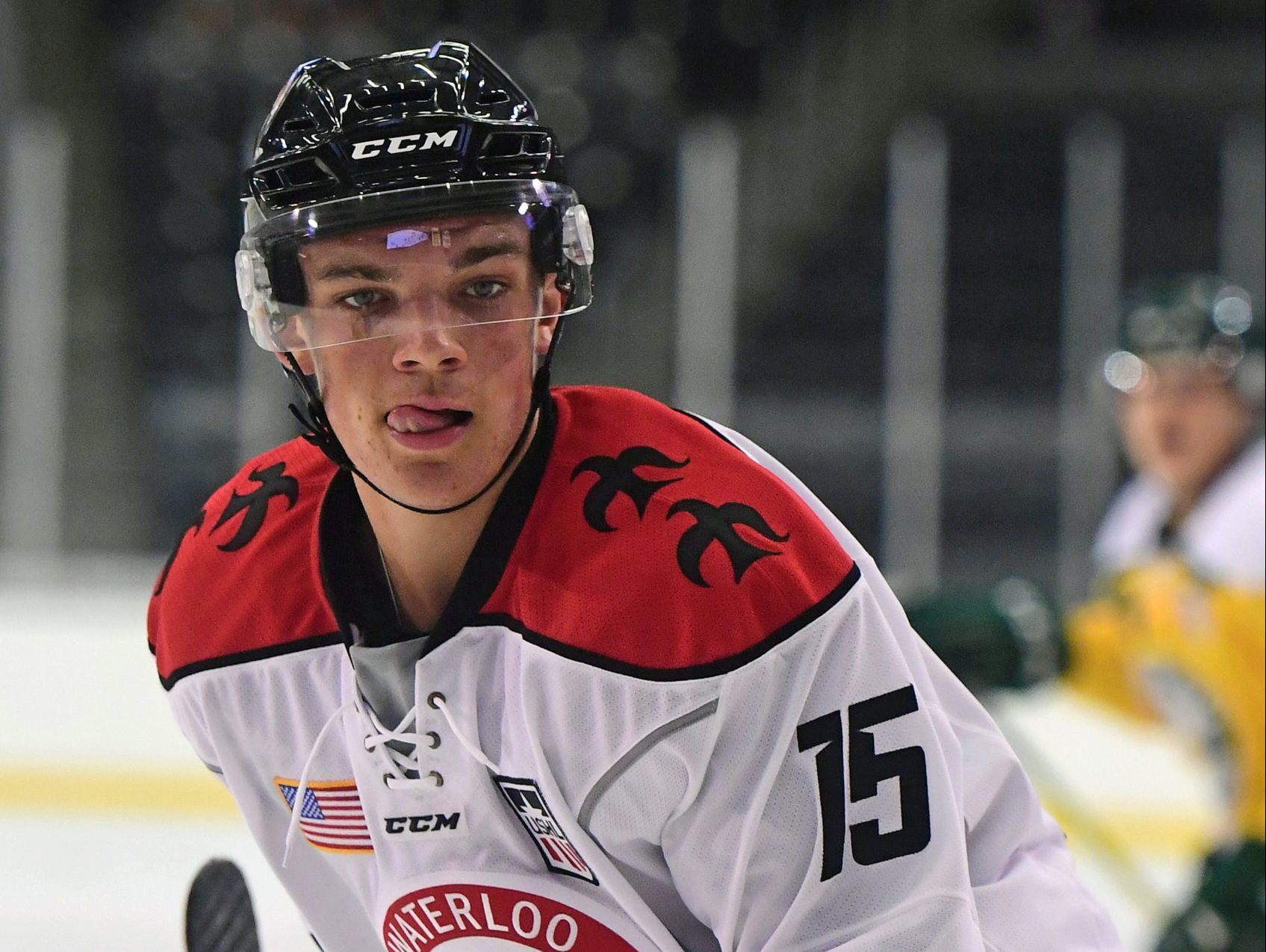 Shane Bowers of the Waterloo Black Hawks, USHL