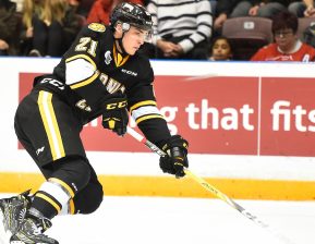Adam Ruzicka of the Sarnia Sting. Photo by Aaron Bell/OHL Images