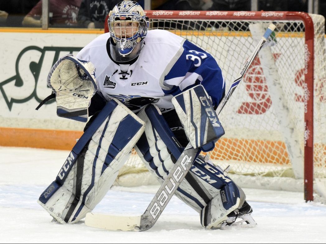 Alex D'Orio, Saint John Sea Dogs. Photo courtesy of the QMJHL