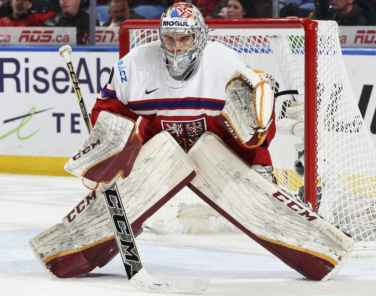 BUFFALO, NEW YORK - JANUARY 5: The Czech Republic's Jakub Skarek #1 looks on during bronze medal game action against the U.S. at the 2018 IIHF World Junior Championship. (Photo by Matt Zambonin/HHOF-IIHF Images)