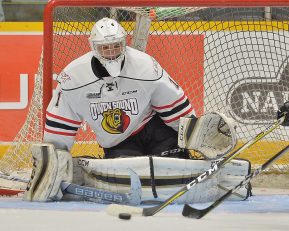 Mack Guzda of the Owen Sound Attack. Photo by Terry Wilson / OHL Images.