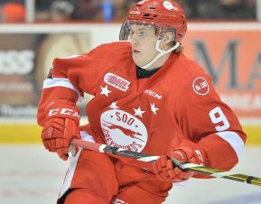 Rasmus Sandin of the Sault Ste. Marie Greyhounds. Photo by Terry Wilson / OHL Images.