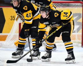 Will Bitten of the Hamilton Bulldogs. Photo by Aaron Bell/OHL Images