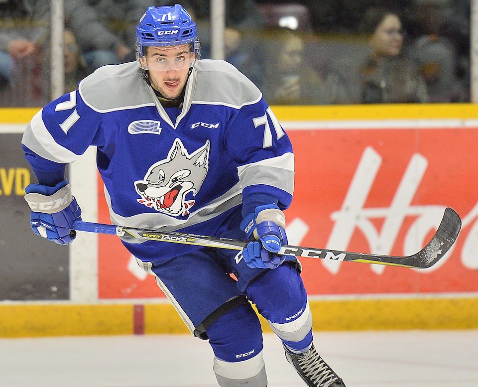 David Levin of the Sudbury Wolves. Photo by Terry Wilson / OHL Images.
