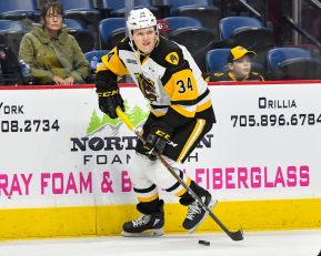 Forward #34 Arthur Kaliyev of the Hamilton Bulldogs