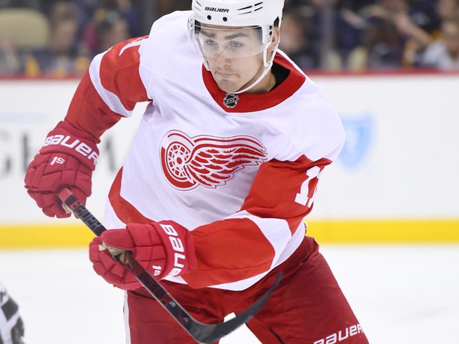 PITTSBURGH, PA - SEPTEMBER 23: Detroit Red Wings  forward Filip Zadina (11) skates during the third period in the preseason game between the Pittsburgh Penguins and the Detroit Red Wings on September 23, 2018, at PPG Paints Arena in Pittsburgh, PA.The Detroit Red Wings defeated the Pittsburgh Penguins 3-2. (Photo by Jeanine Leech/Icon Sportswire)