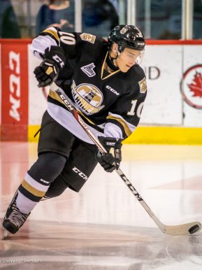 Brett Budgell of the Charlottetown Islanders. Photo courtesy of Steven Cadovius/QMJHL. 