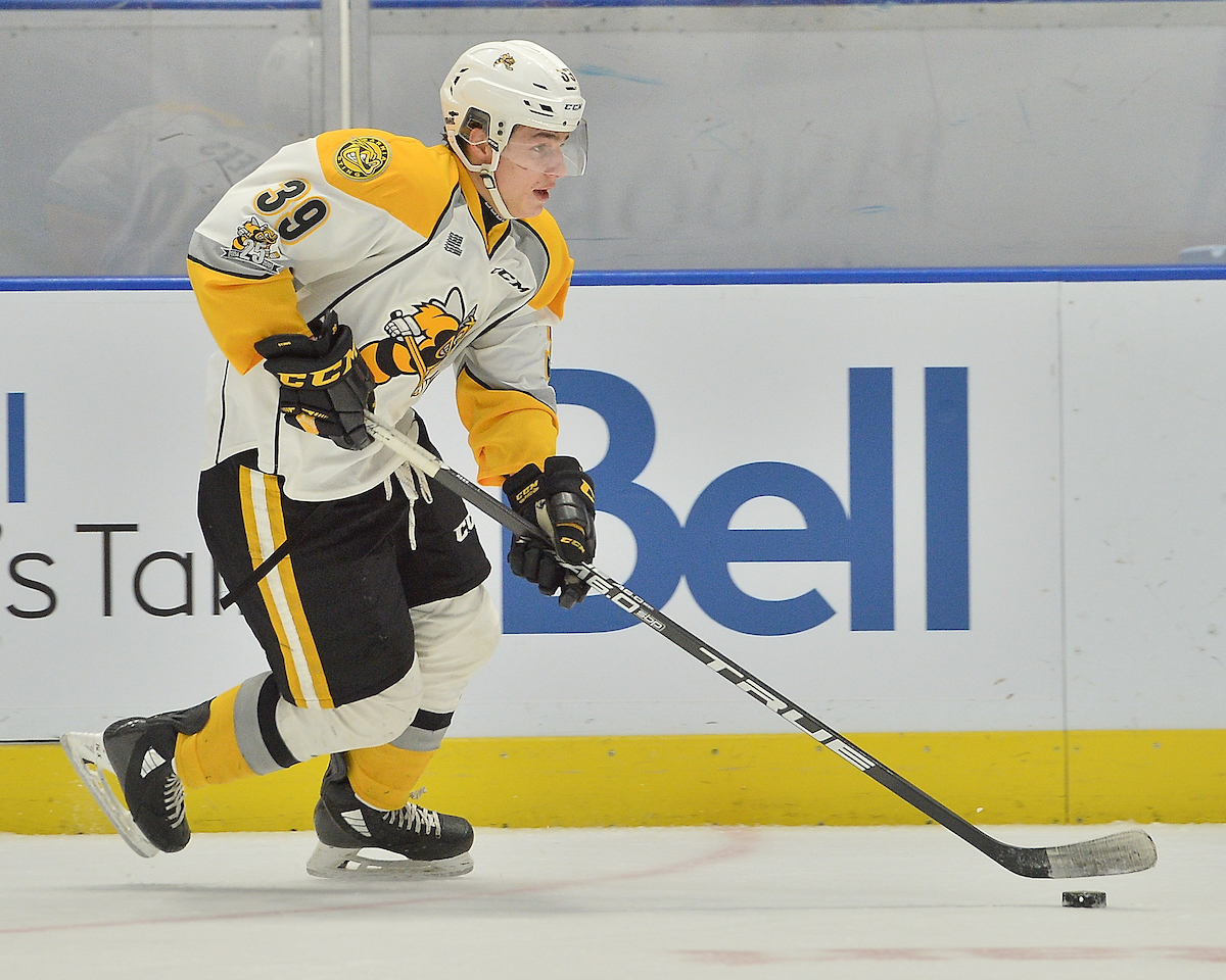 Jamieson Rees of the Sarnia Sting. Photo by Terry Wilson / OHL Images.