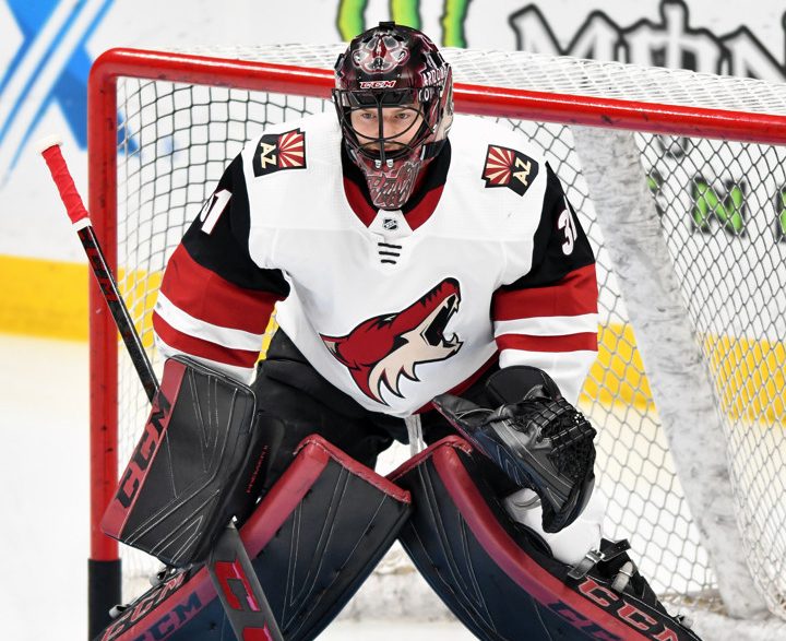 ANAHEIM, CA - DECEMBER 29: Arizona Coyotes goalie Adin Hill (31) in goal during warm-ups before a game against the Anaheim Ducks played on December 29, 2018 at the Honda Center in Anaheim, CA. (Photo by John Cordes/Icon Sportswire)