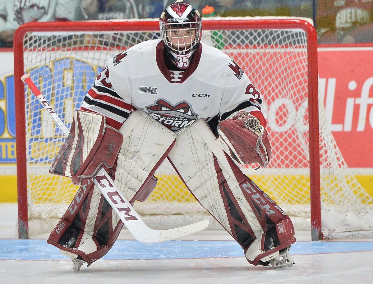 Nico Daws of the Guelph Storm. Photo by Terry Wilson / OHL Images.