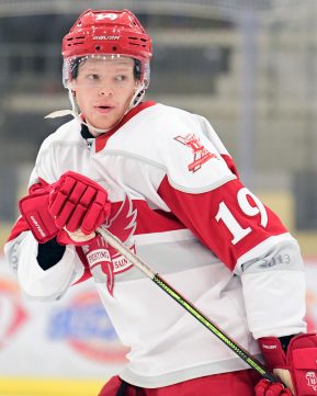 Stephen Halliday. Photo by Hickling Images. 