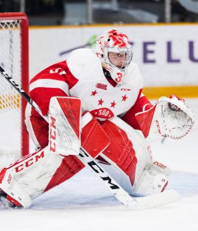 OTTAWA, ON - FEBRUARY 02: Sault Ste. Marie Greyhounds Goalie Nick Malik (31) prepares to make a save during Ontario Hockey League action between the Sault Ste. Marie Greyhounds and Ottawa 67's on February 2, 2020, at TD Place Arena in Ottawa, ON, Canada. (Photo by Richard A. Whittaker/Icon Sportswire)