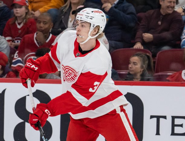 Detroit Red Wings' Lucas Raymond, Moritz Seider lean on each other